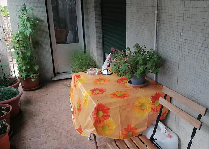 Celine Alojamento de Acomodação e Pequeno-almoço *