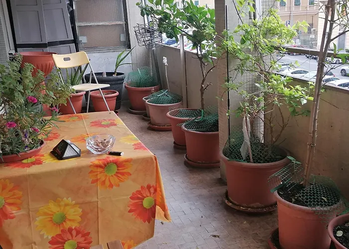 Alojamento de Acomodação e Pequeno-almoço Celine *